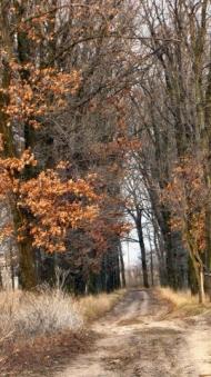 Подорожнє з panoramio.com