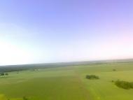 Великий Вистороп - Останні фото