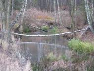 Лошакова Гута з panoramio.com