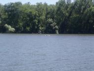 Комісарівка з panoramio.com