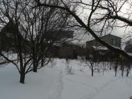 Плавні з panoramio.com