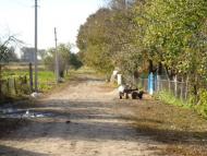 Вовничі з panoramio.com