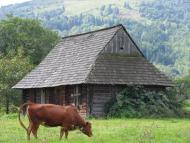 Баня-Березів з panoramio.com