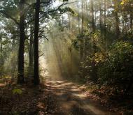 Коженики з panoramio.com