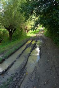 Миньківці з panoramio.com