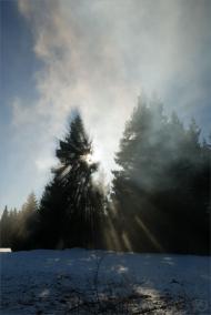 Береги з panoramio.com