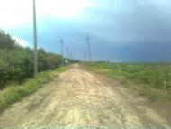 Новогригорівка з panoramio.com