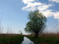 Кізомис з panoramio.com