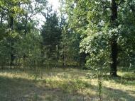 Браженець з panoramio.com