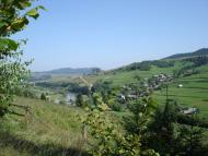 Ропавське з panoramio.com