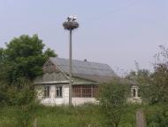 Дубрівка - Останні фото