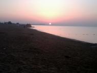 Берегове з panoramio.com