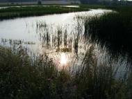 Примощаниця з panoramio.com