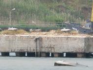 Григорівка з panoramio.com