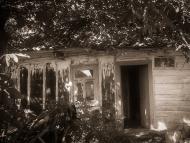 П'ятидні з panoramio.com