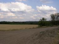 Родники - Останні фото