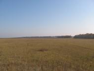 Велика Вісь з panoramio.com