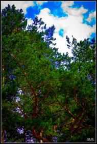 Мала Любаша з panoramio.com