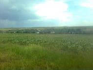 Новогригорівка з panoramio.com