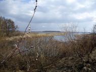 Стайки з panoramio.com