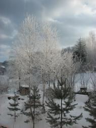 Борислав з panoramio.com