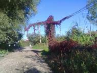 Борислав з panoramio.com