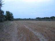 Фрунзе з panoramio.com