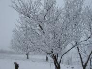 Олександрівка з panoramio.com