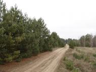 Лошакова Гута з panoramio.com