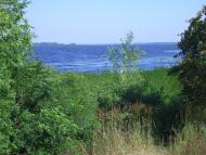 Стайки з panoramio.com