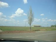 Сірогози з panoramio.com