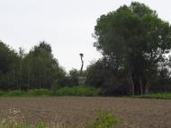 Панасівка з panoramio.com