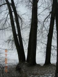 Жовнине з panoramio.com