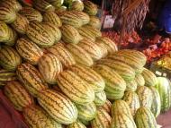 Молодіжне - Останні фото