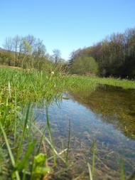 Клочки з panoramio.com