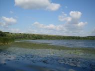 Крутогорб з panoramio.com