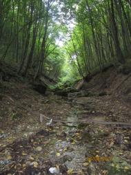 Нова Гута з panoramio.com