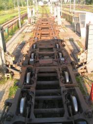 Биків з panoramio.com