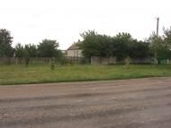 Рози Люксенбург з panoramio.com