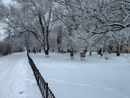 Березанка з panoramio.com