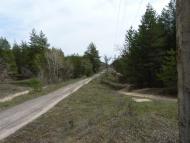 Малинове з panoramio.com