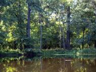 Студенок з panoramio.com