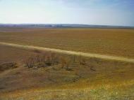 Шевченкове з panoramio.com