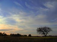 Коженики з panoramio.com