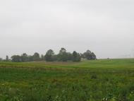 Панасівка з panoramio.com