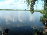 Греково-Александровка - Последние фото