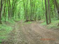 Кизилівка з panoramio.com