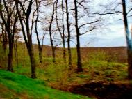 Коженики з panoramio.com