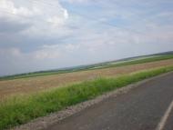 Надеждівка з panoramio.com