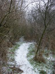 Лупареве з panoramio.com